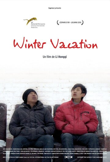 Зимние каникулы (2010)